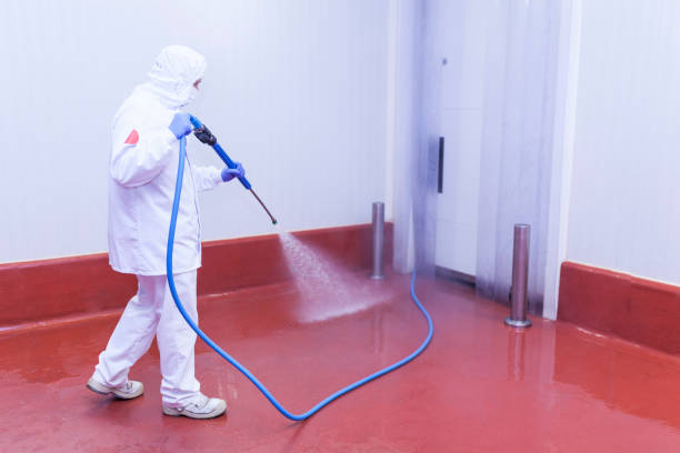 Best Pre-Holiday Cleaning  in Moores Mill, AL