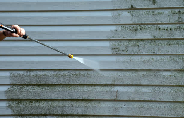 Best Driveway Pressure Washing  in Moores Mill, AL